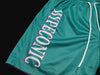 Blacktop Burners™ Flamingo Dynasty™ // SFT-004